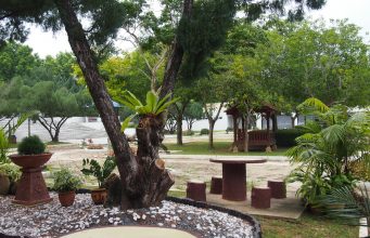 pokok-teduhan-di-taman