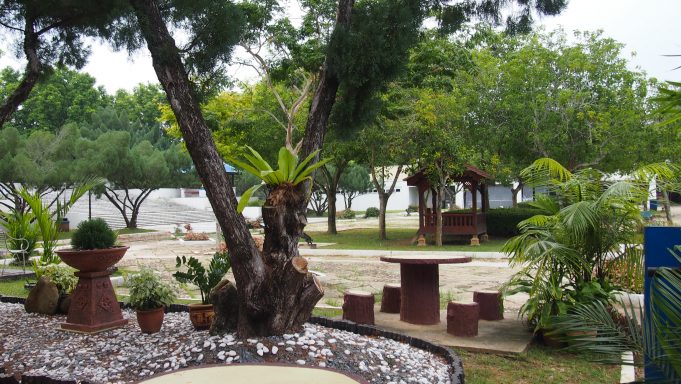 pokok-teduhan-di-taman