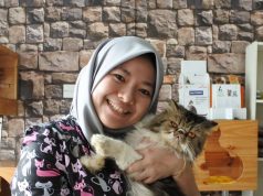 Makanan terbaik untuk kucing, apa jadi kalau kucing diberi makan nasi? makanan terbaik