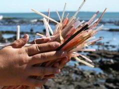 Marah-Marah Pasal Larangan Guna Straw Plastik, Sebahagian Netizen Mula Akur plastic-straw