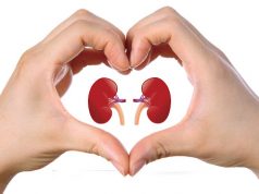 Petua penjagaan buah pinggang dan diabetik, cara Kaklia ikut nasihat pakar. kidney