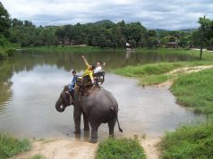 Best ke naik gajah? Duduk di belakangnya, terhinggut-hinggut berjalan. Paling mencemaskan apabila…